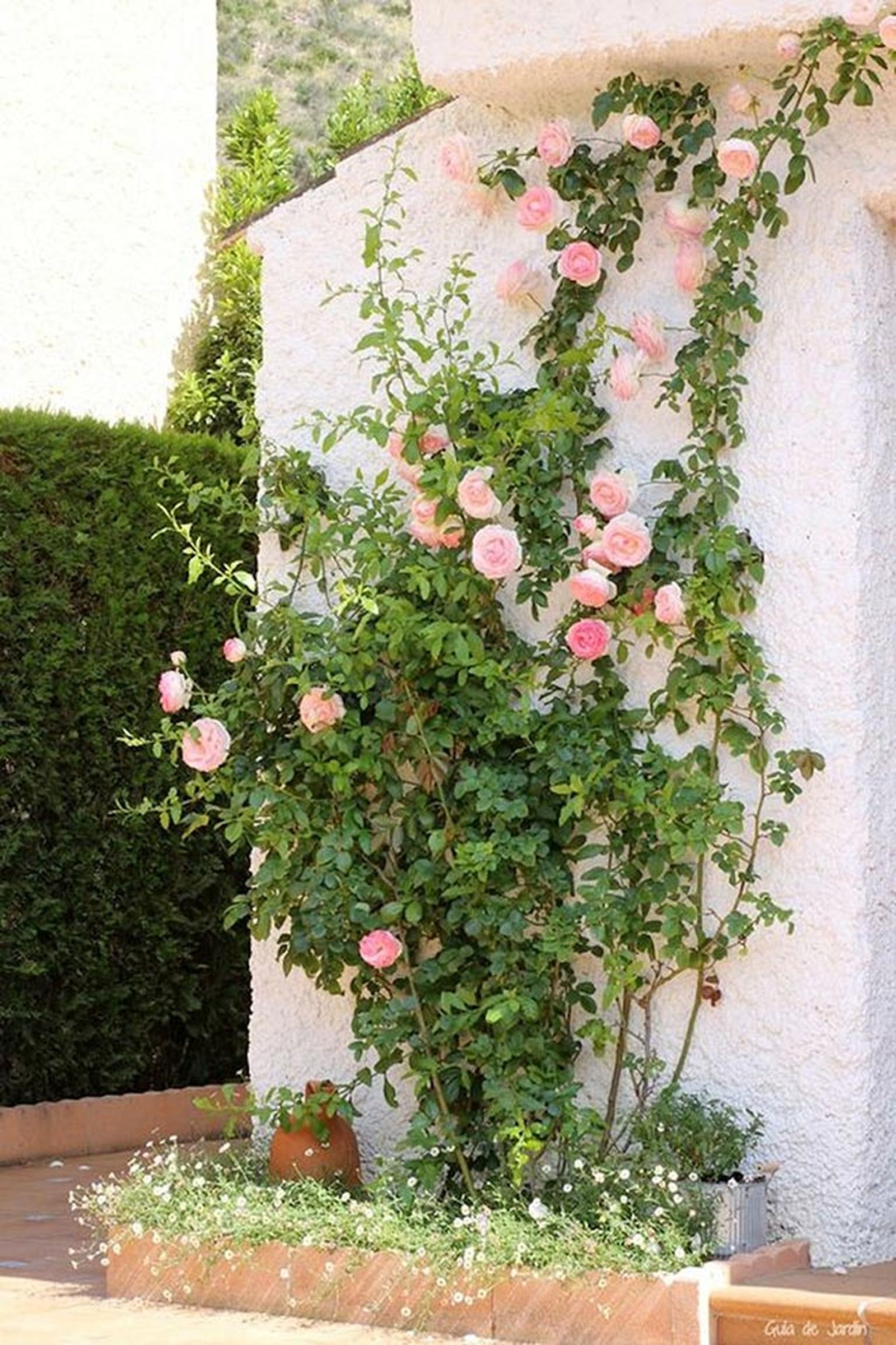 Ideas para decorar patios pequeños y sacarles el máximo partido 11 Ideas para decorar patios pequeños y sacarles el máximo partido 11