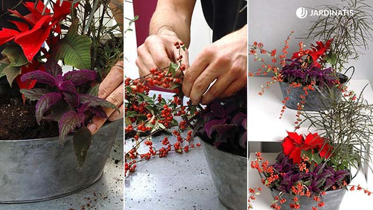 centros florales con bayas deco 074 jardinatis 2