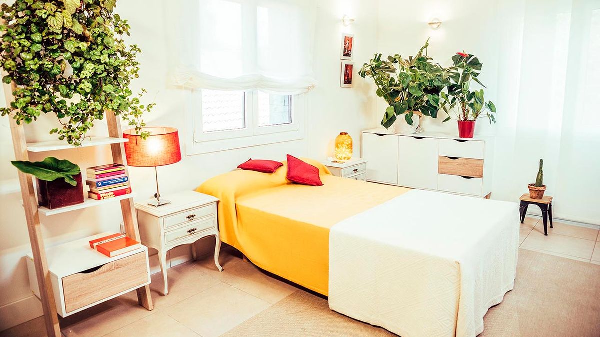 Cómo multiplicar enchufes en la pared paso 11