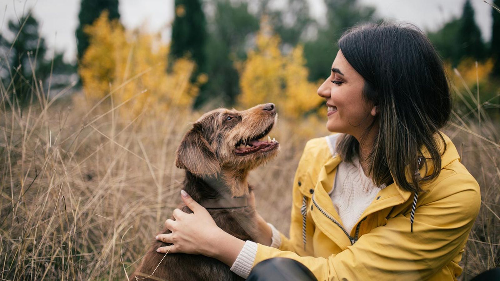 beneficios alimentacion natural perros 2 beneficios alimentacion natural perros 2
