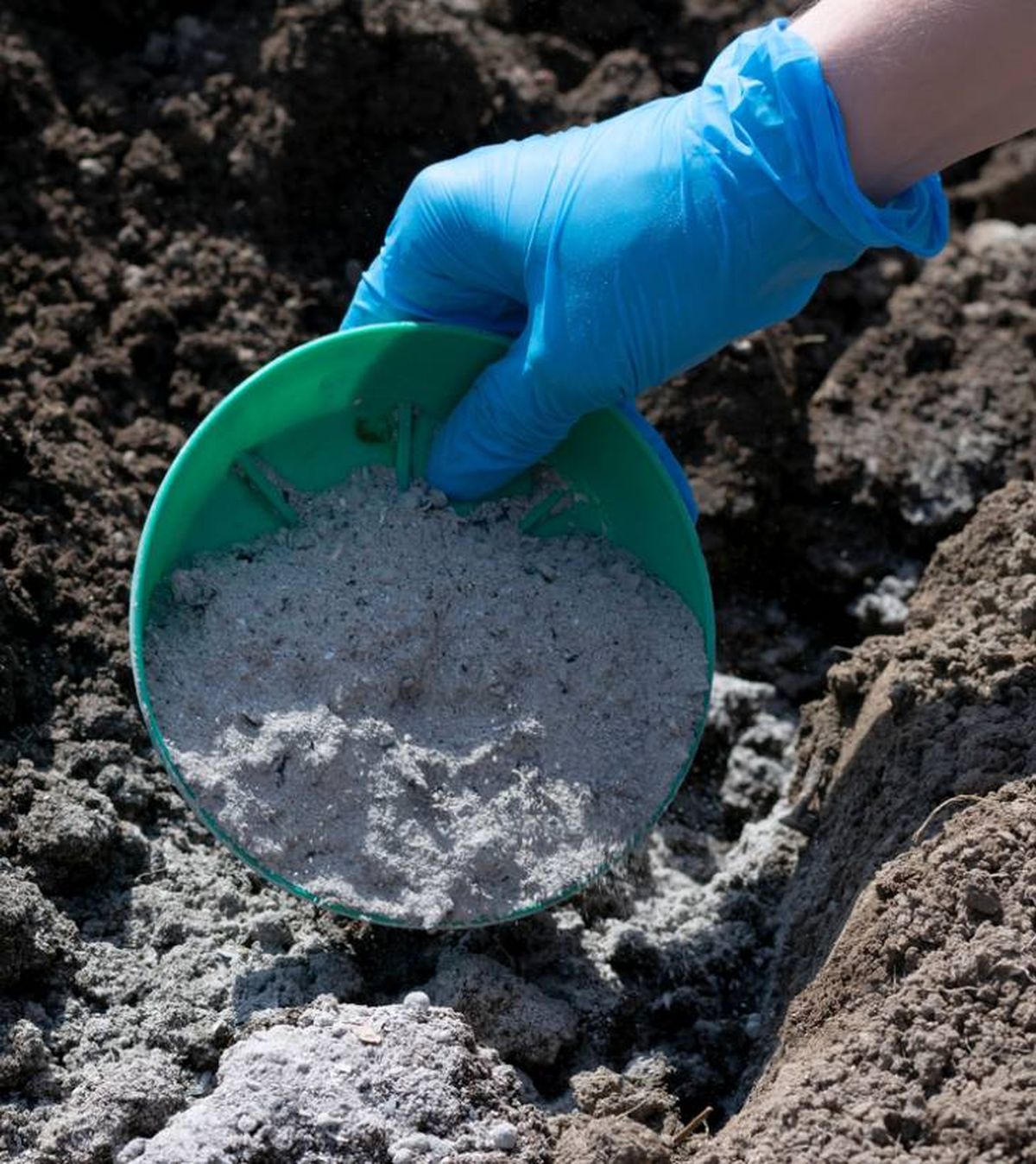 como se usa la ceniza en las plantas