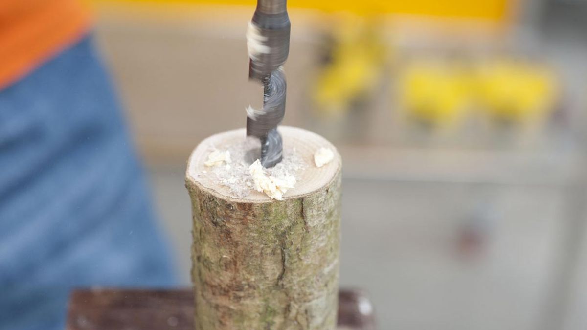 Bricomania 707 Arbol de la lectura p7