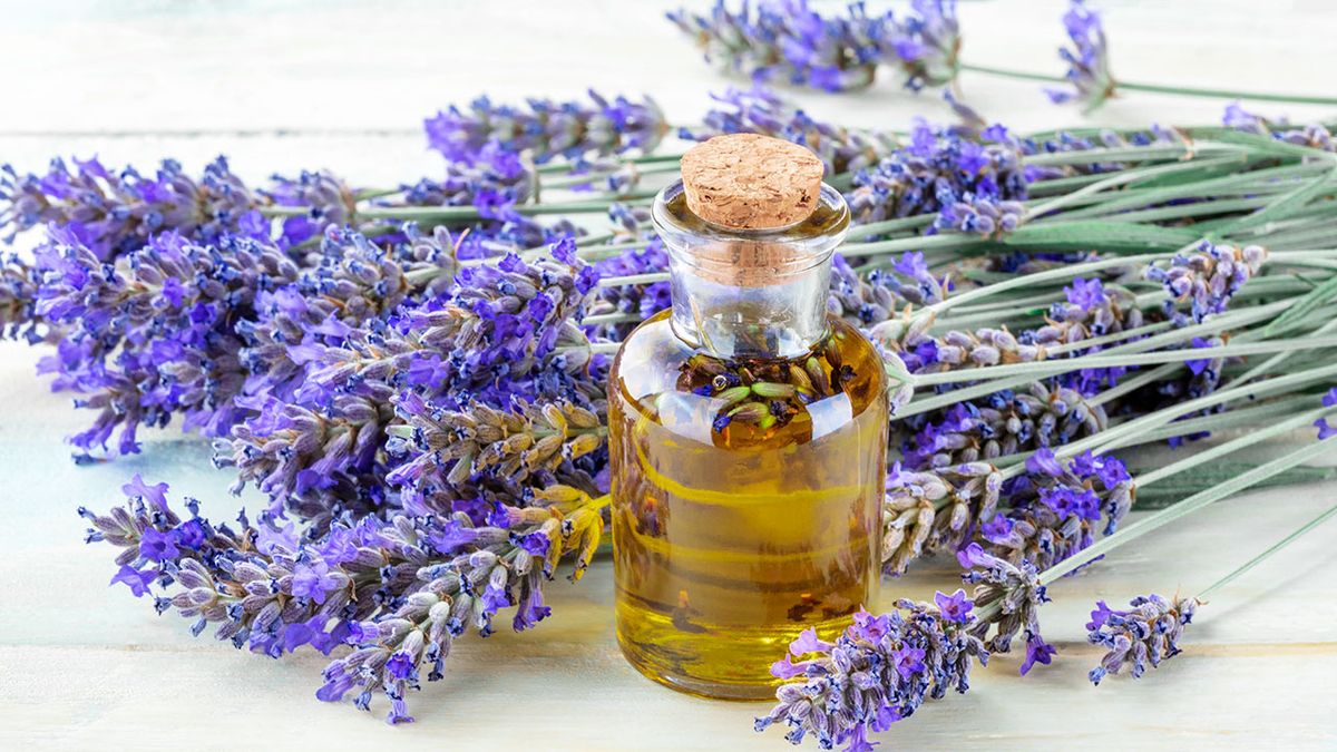 aceite lavanda