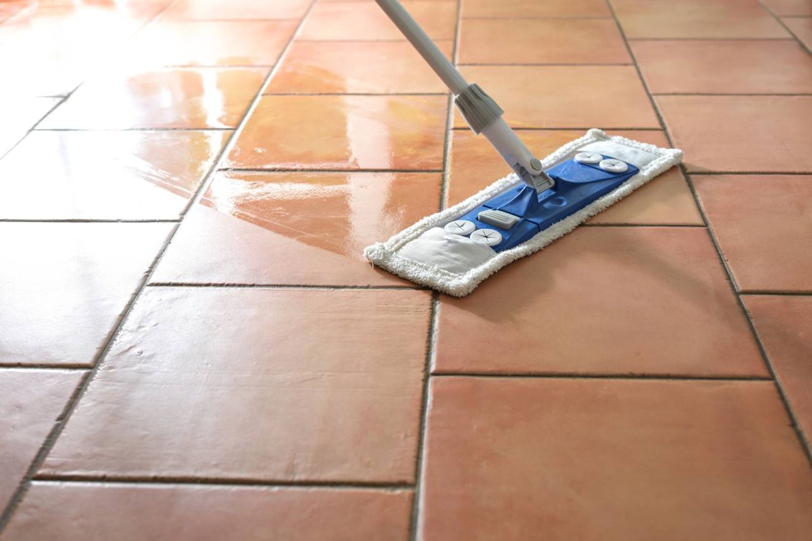 Mopa para fregar y cubo autolimpiable Magic Mop.