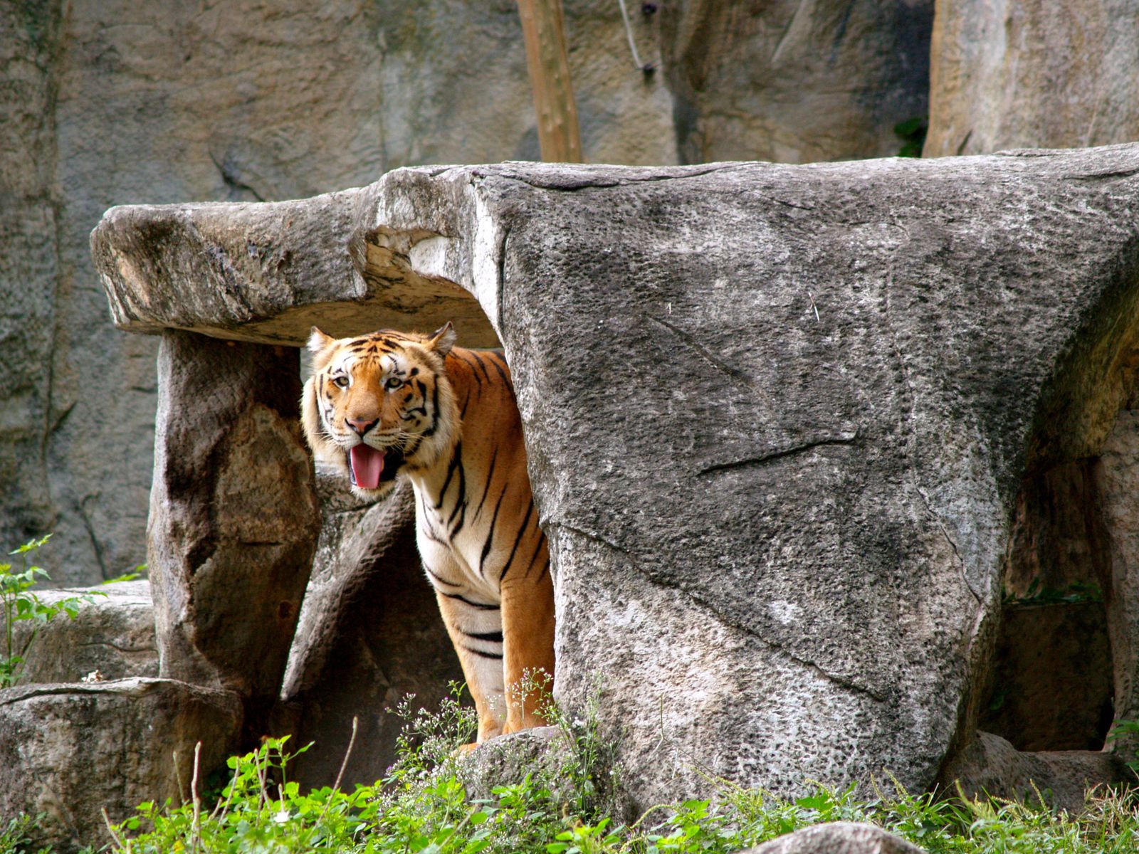 centro recuperacion animales XL