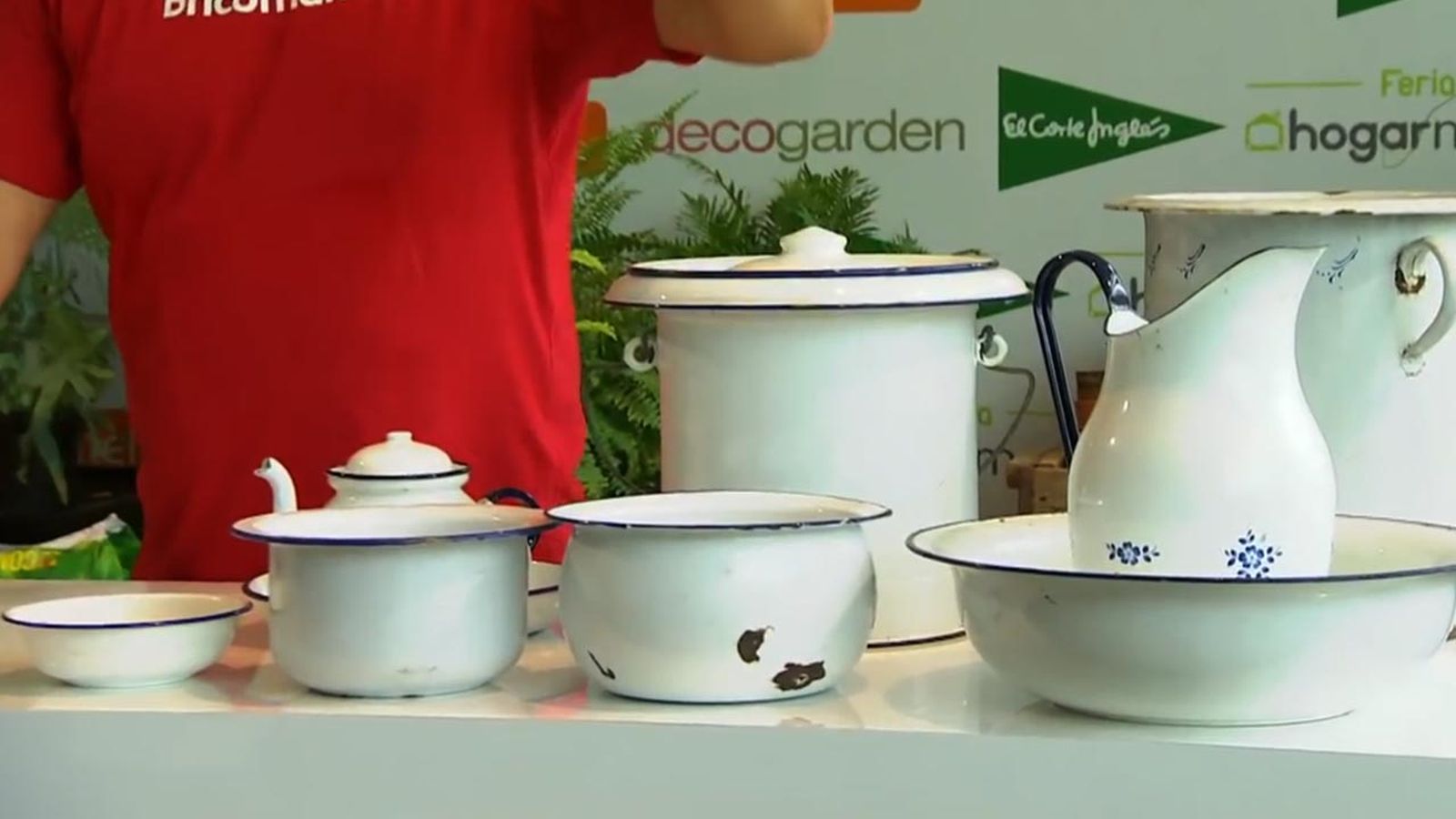 como cultivar helechos en casa recipientes como cultivar helechos en casa recipientes