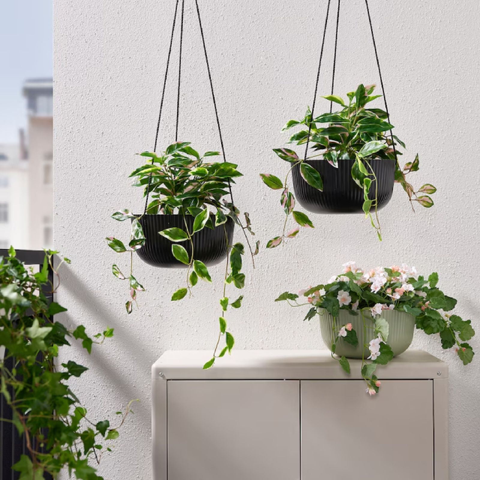 sorporte colgante plantas sorporte colgante plantas