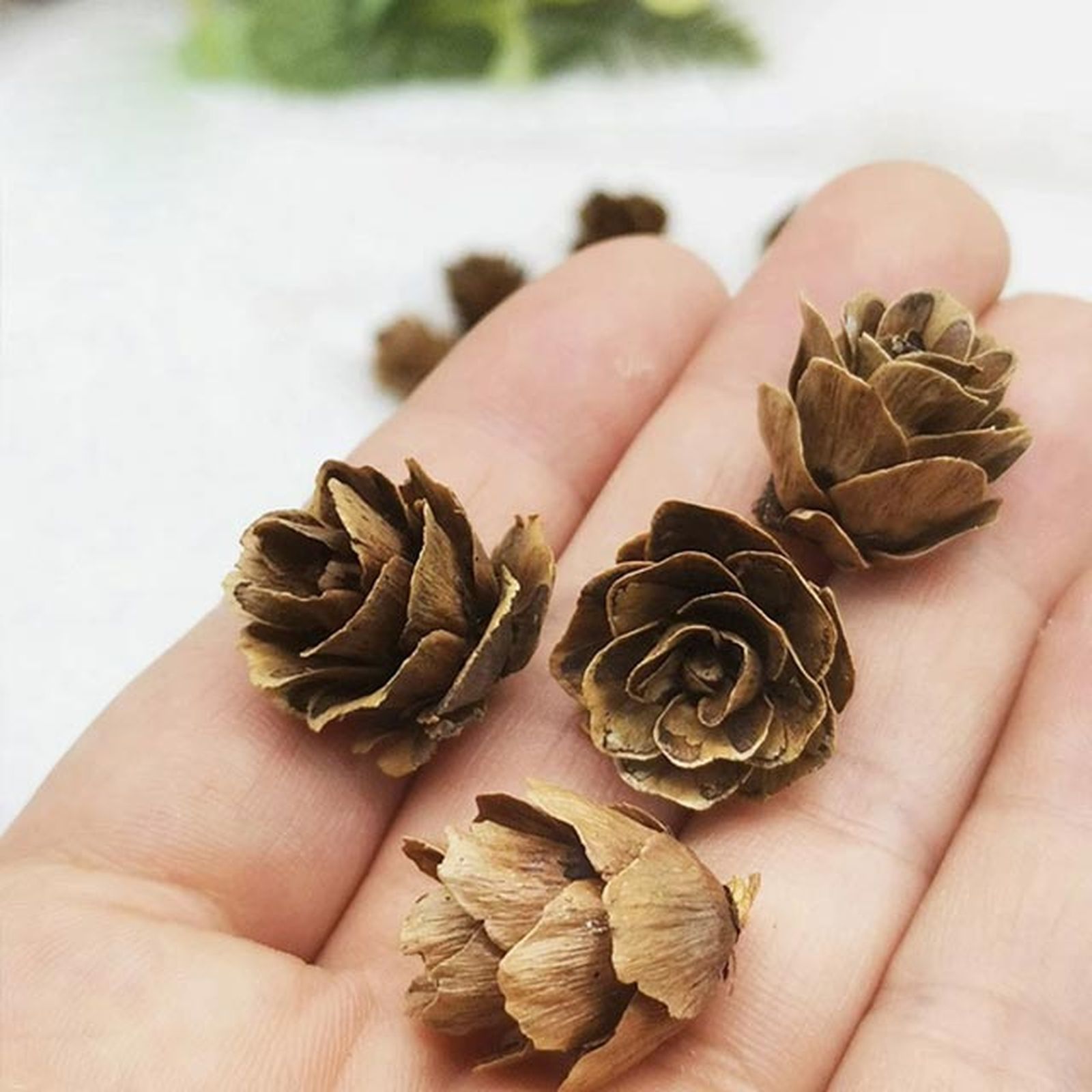 mini pinas