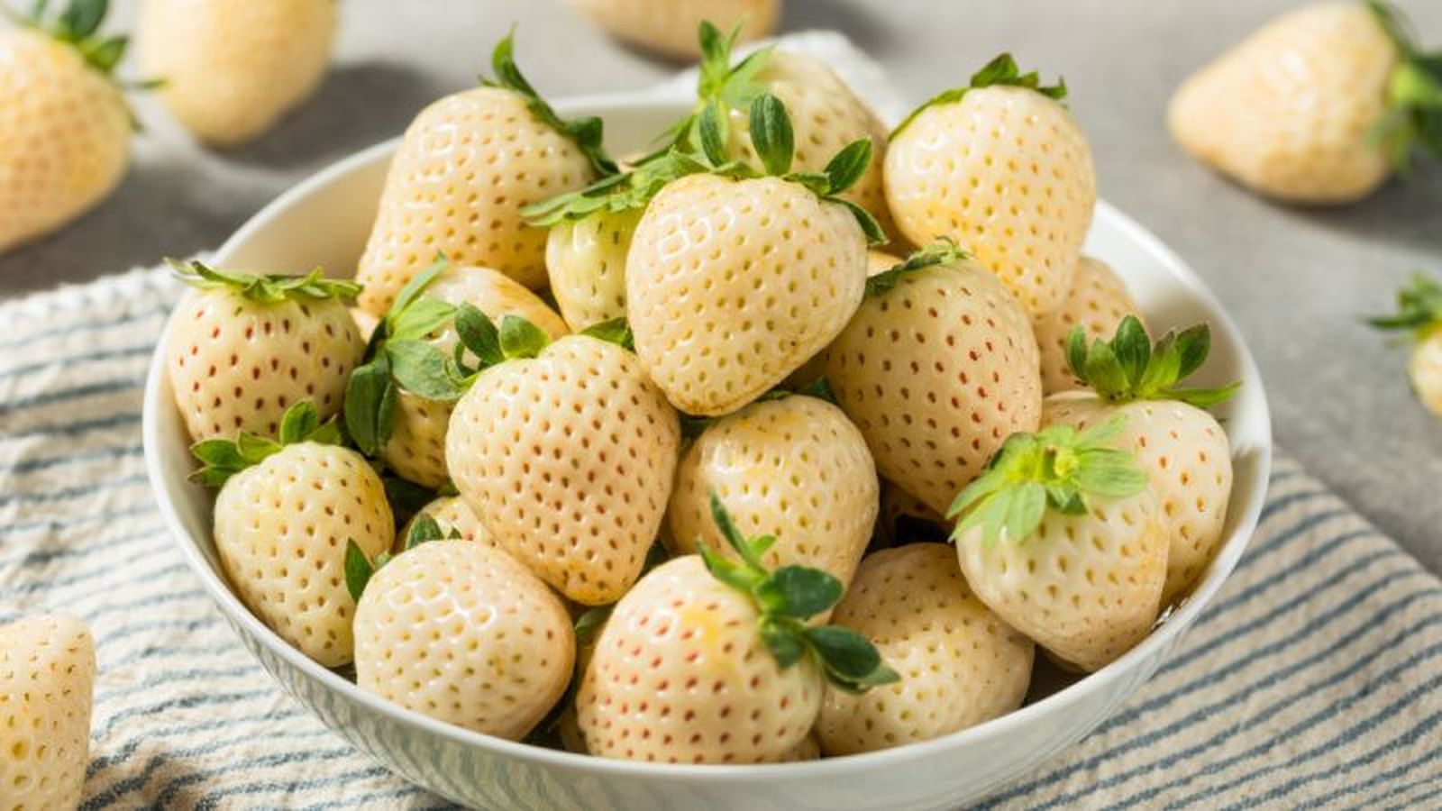 Pineberry Pineberry