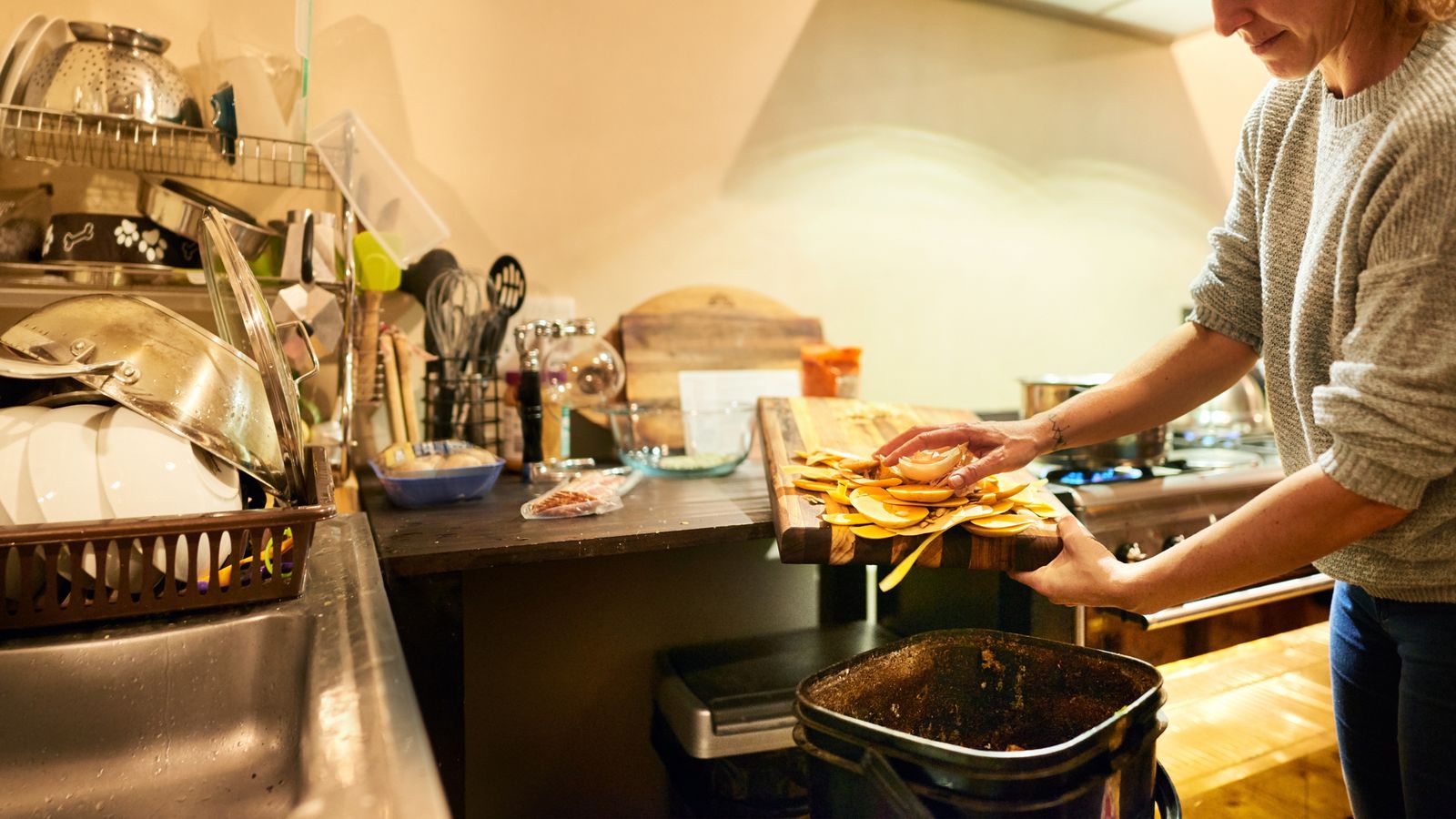 La acumulación de basura es un imán para las moscas de la fruta