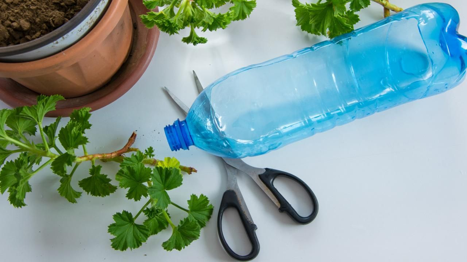 materiales para hacer maceteros de plastico materiales para hacer maceteros de plastico