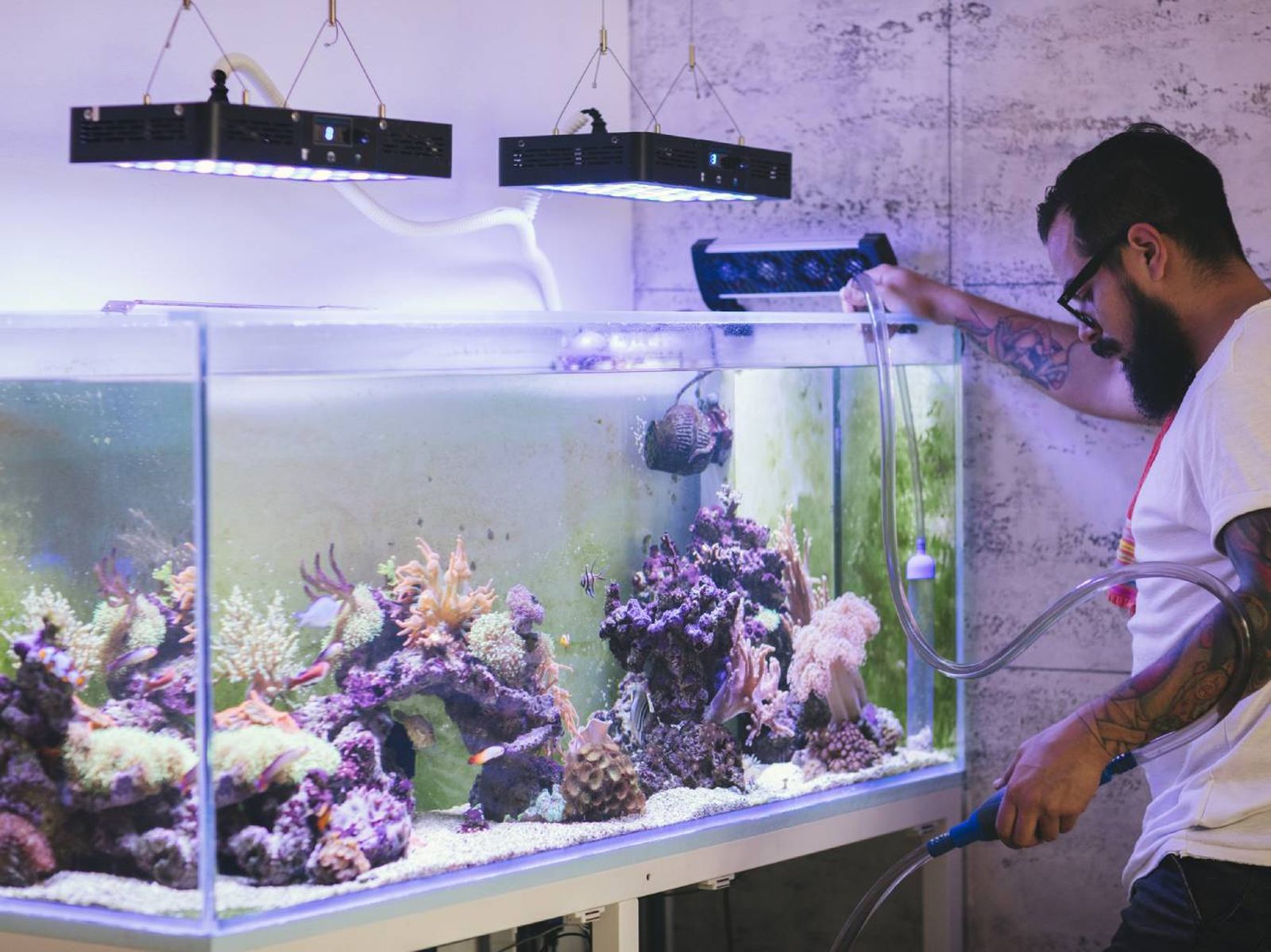 Es fundamental conocer las necesidades específicas de las especies que habitan tu acuario. Es fundamental conocer las necesidades específicas de las especies que habitan tu acuario.