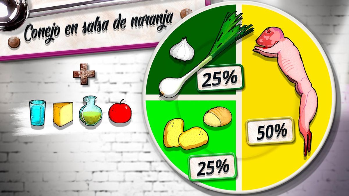 KARL6521 conejo naranja plato