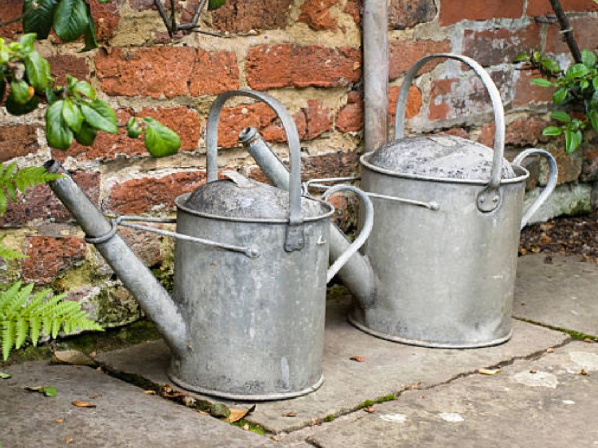 Añade detalles como unas regaderas antiguas de zinc