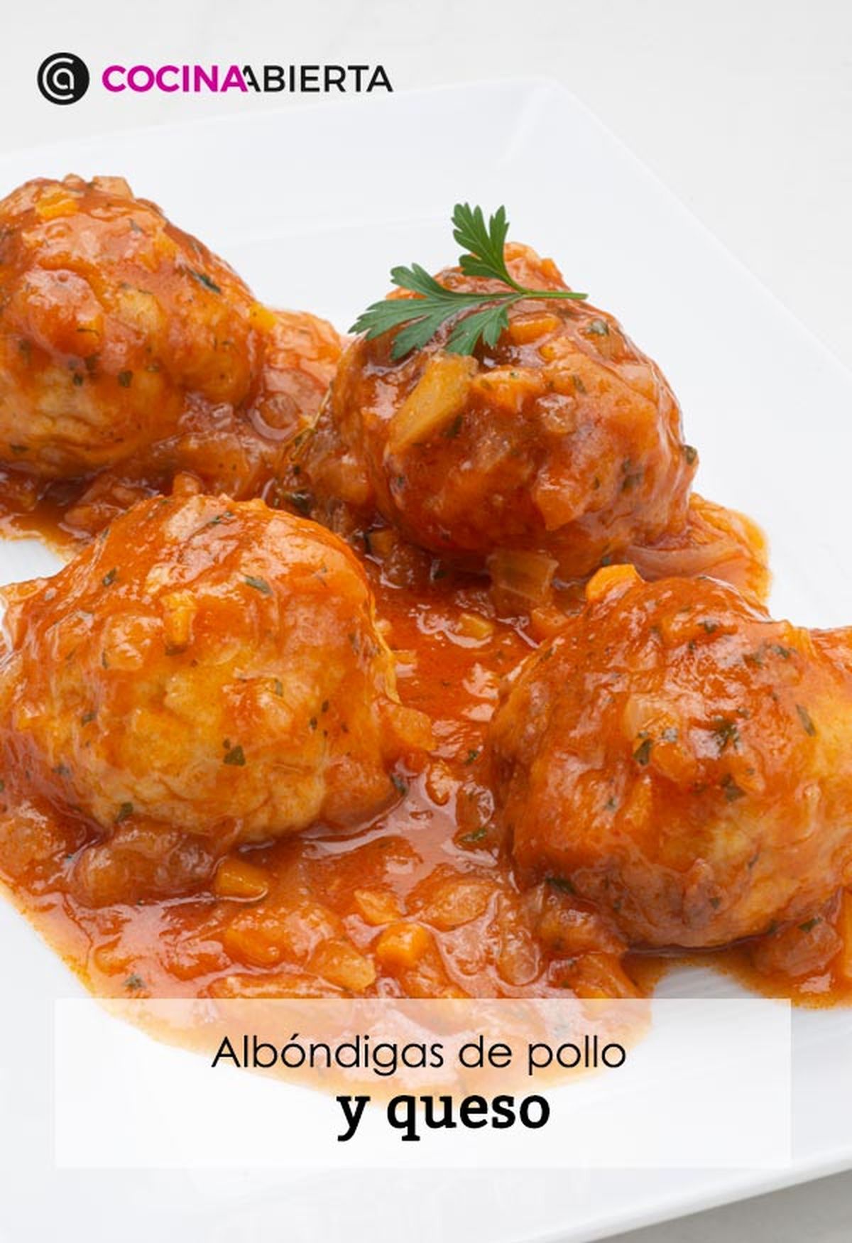 karl6642 albondigas pollo v