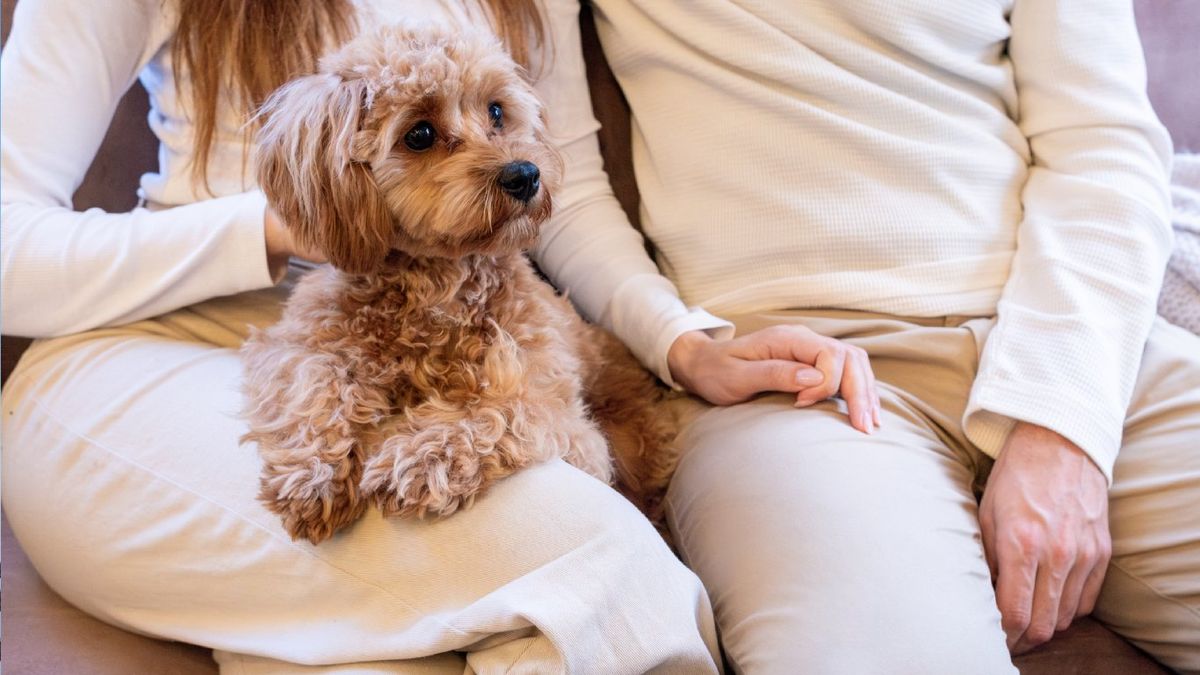 Combinar con colores claros