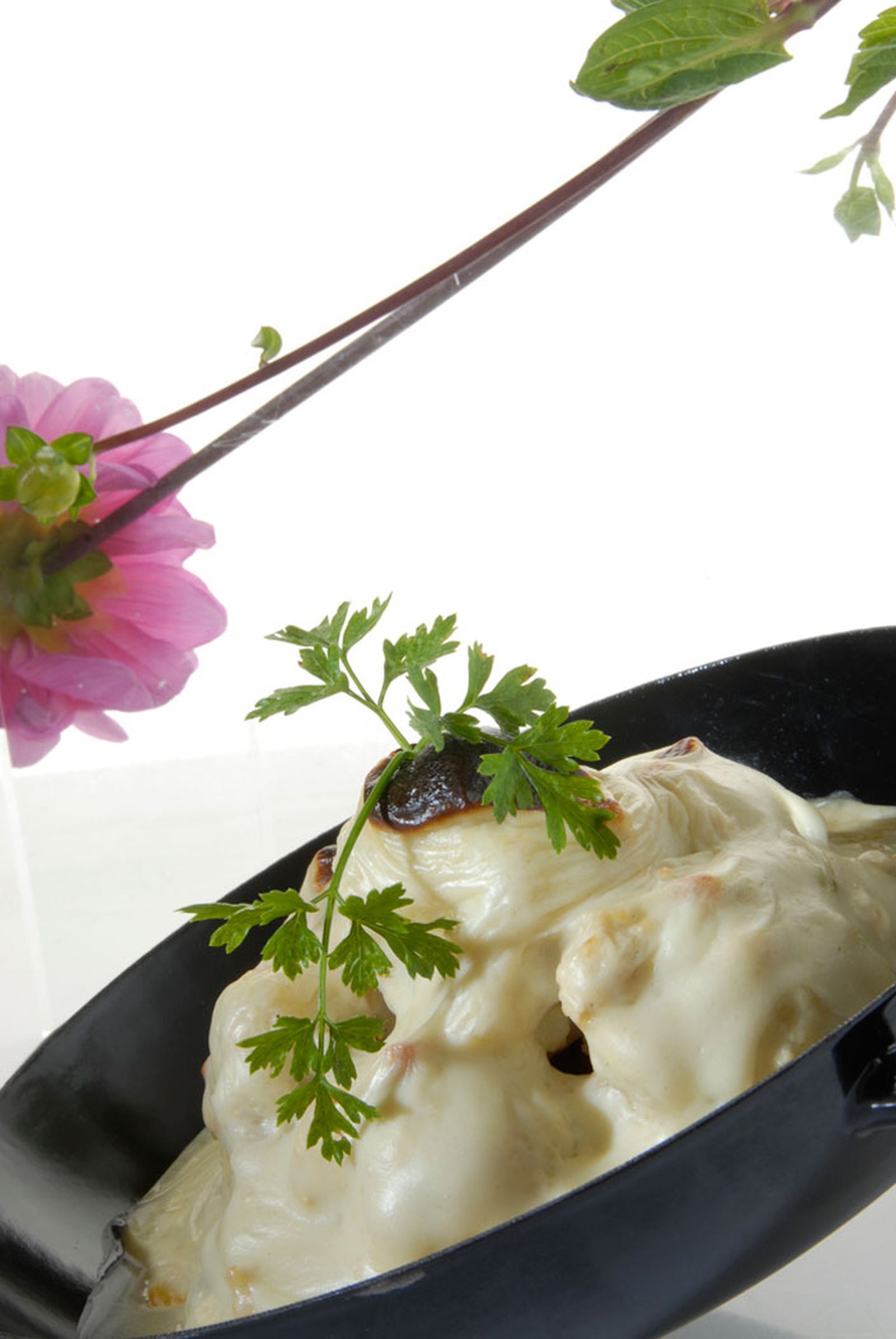 Coliflor con bechamel de pollo Coliflor con bechamel de pollo