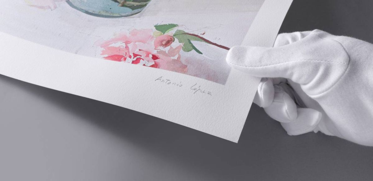 Lámina "Rosas" con la firma a lápiz de Antonio López.