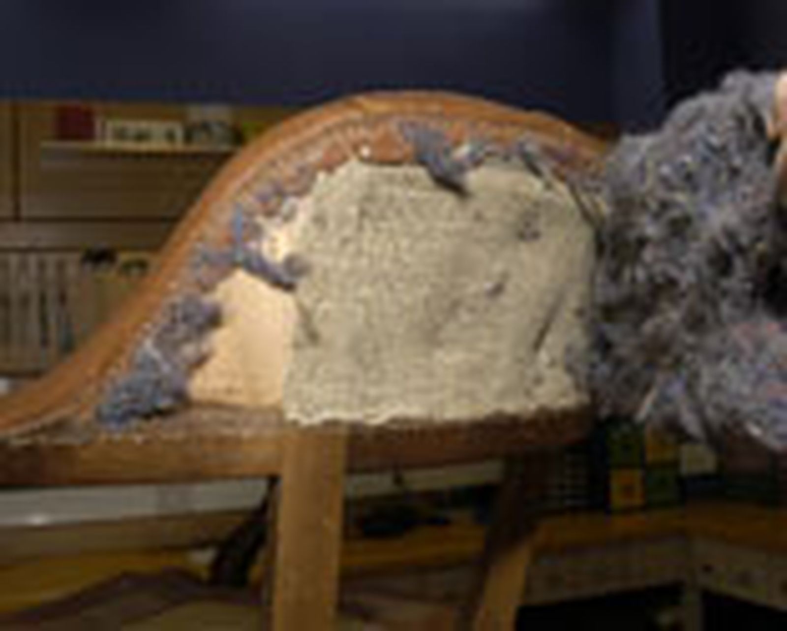 291 restaur butaca p05 291 restaur butaca p05