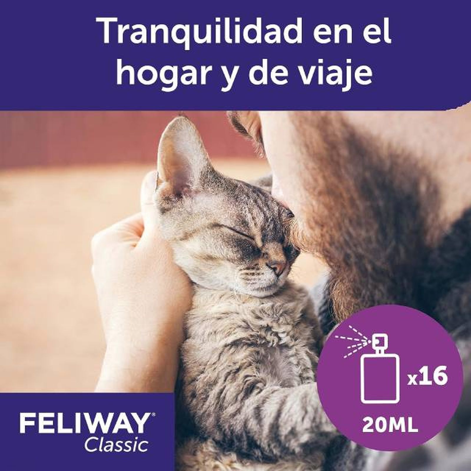 productos para gatos mas vendidos amazon feronomas antiestres productos para gatos mas vendidos amazon feronomas antiestres