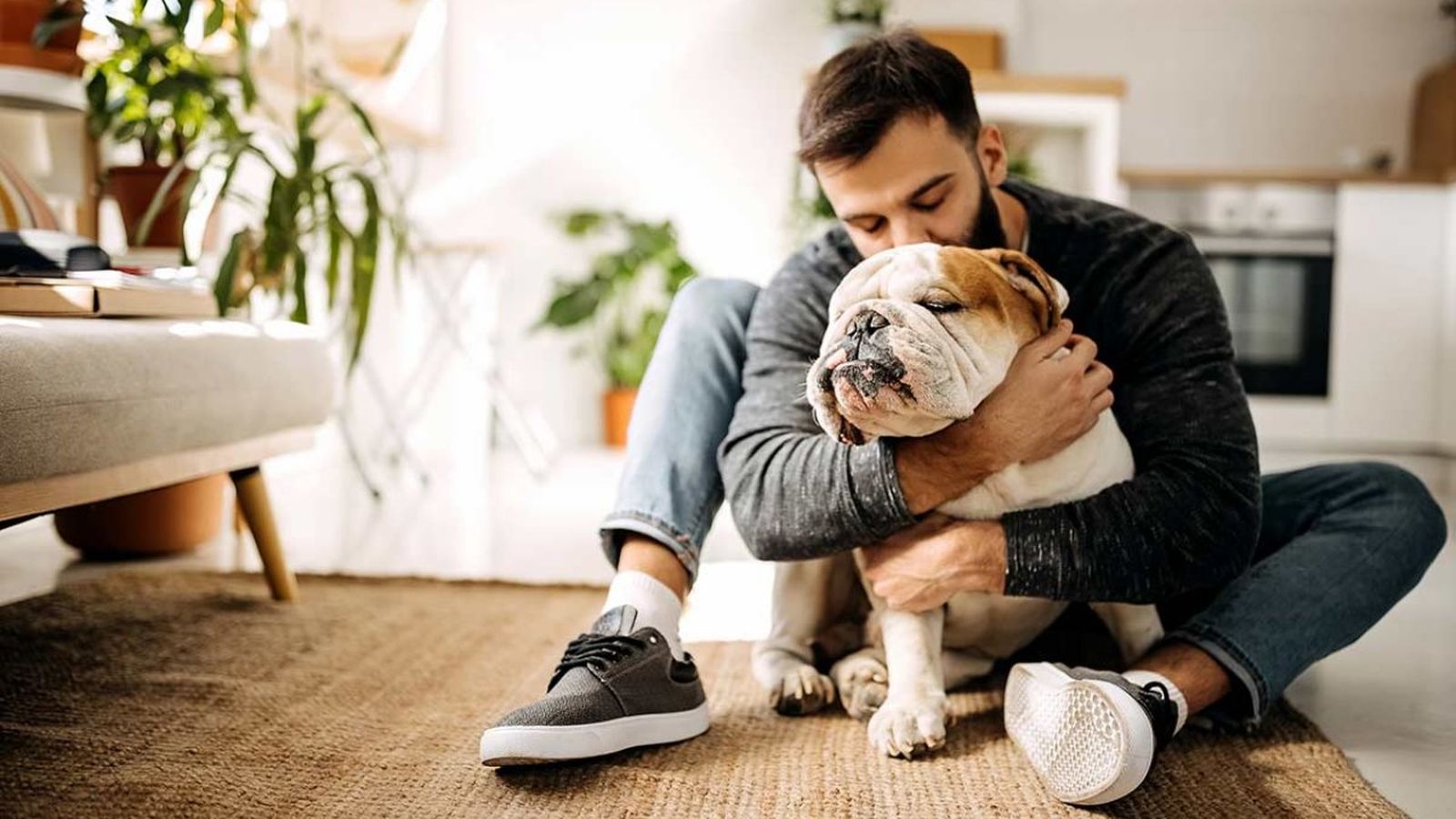 seguros para mascotas ok