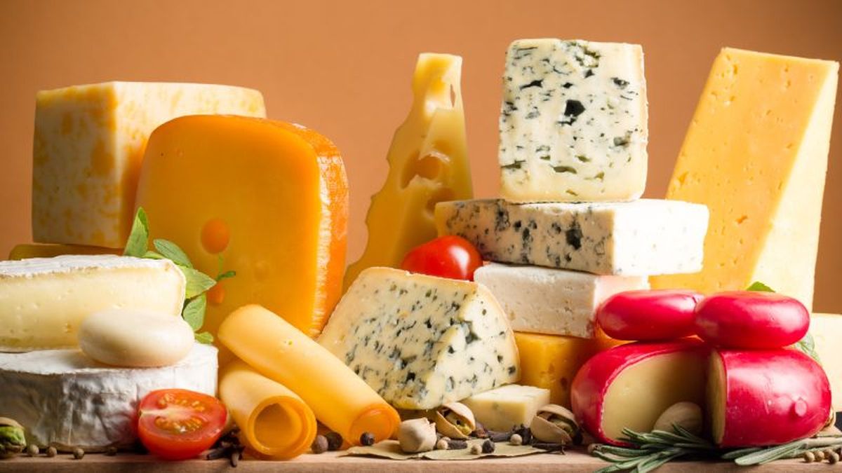 Tipos de queso