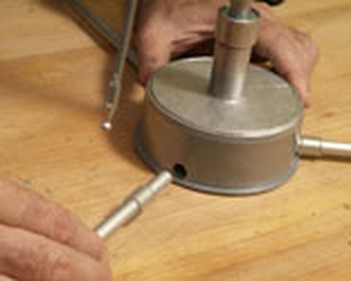 436(85) Abeto paraguas paso19