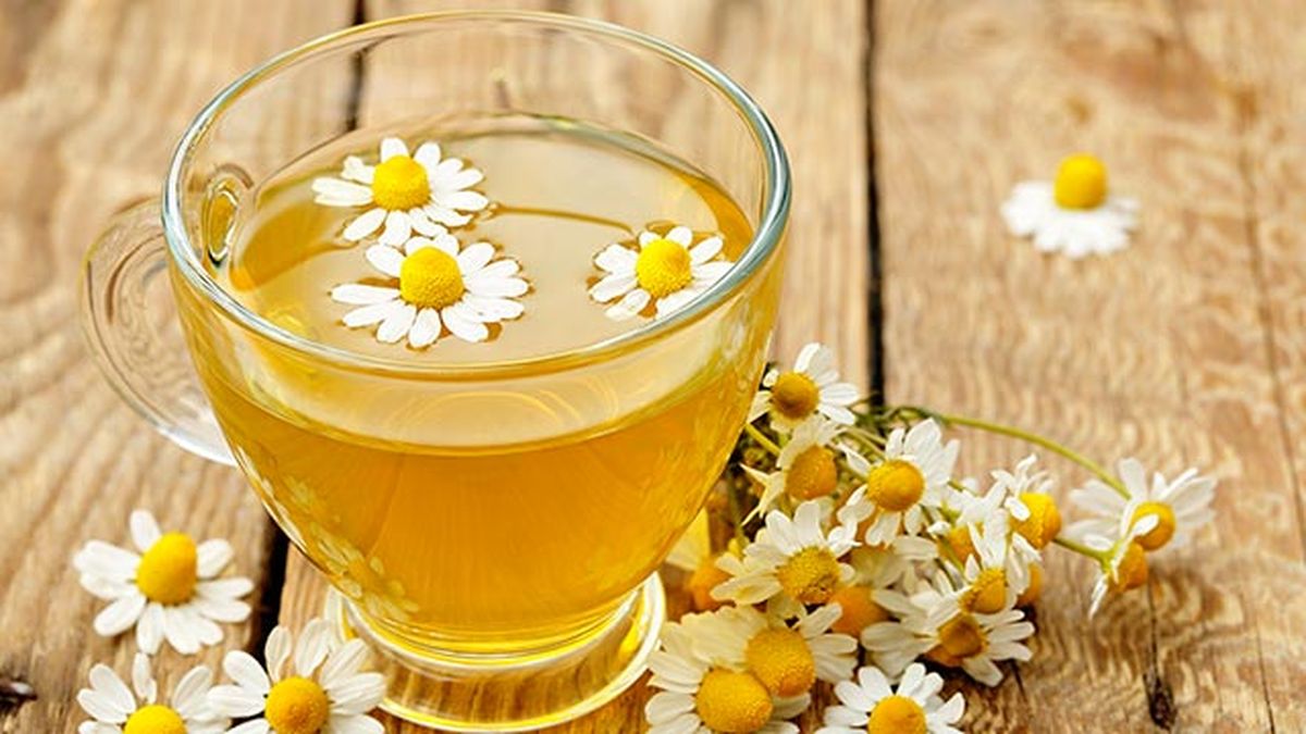 repelentes caseros contra pulgas garrapatas 6