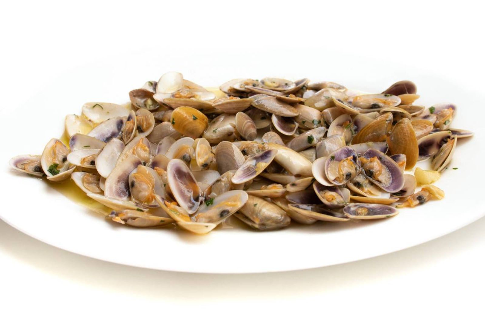 coquinas ajillo xl coquinas ajillo xl