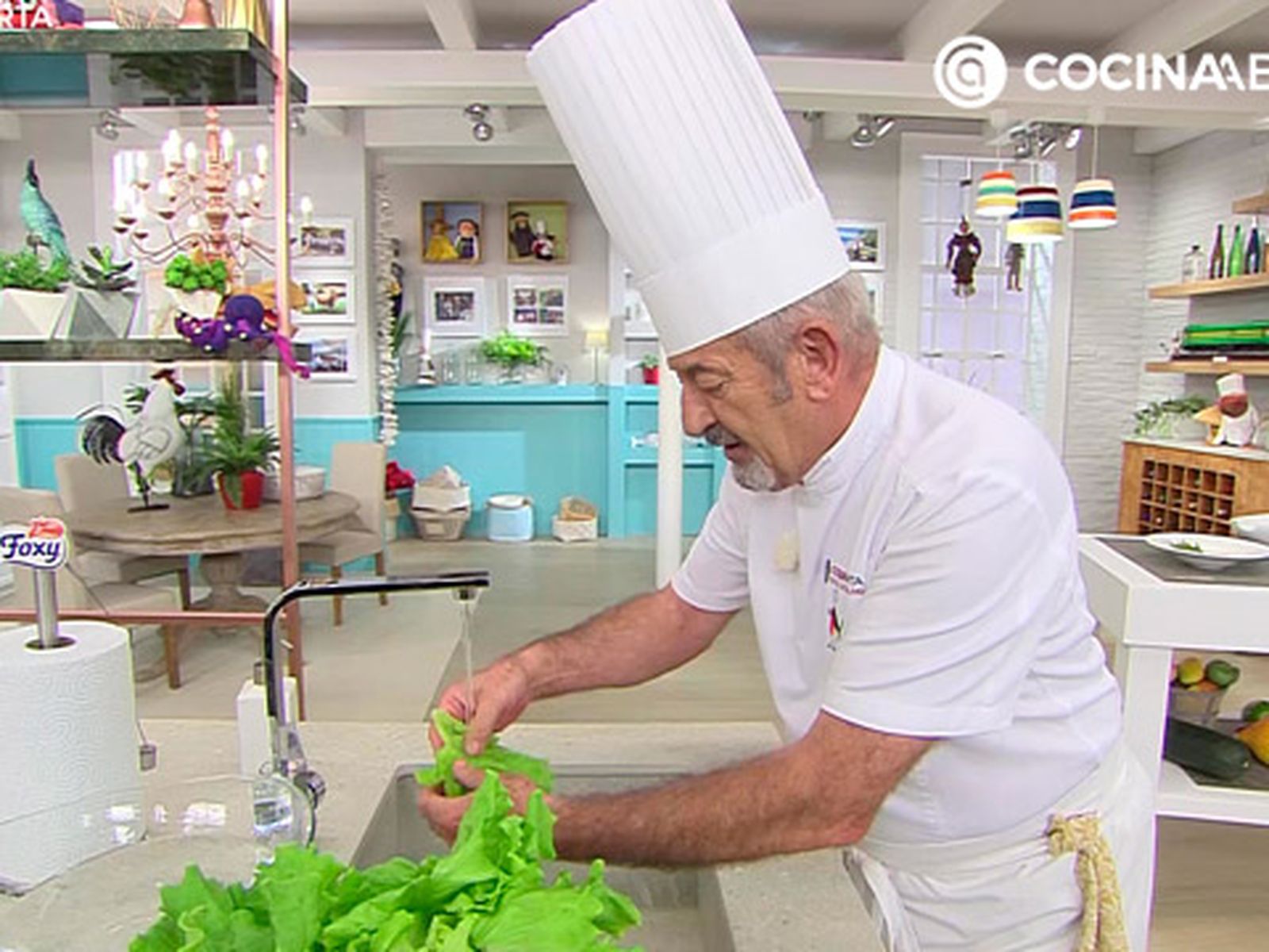 Lava bien la lechuga antes de consumir karl6799 sardinas plancha p1
