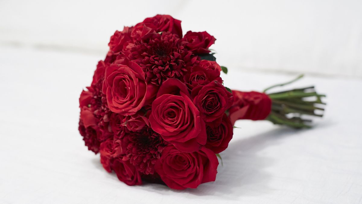 significado rojas rojas san valentin