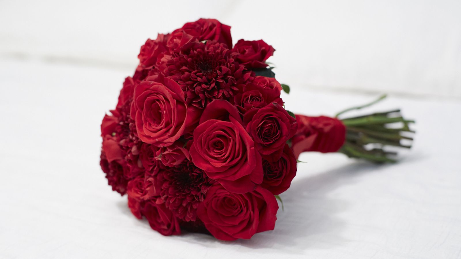 significado rojas rojas san valentin significado rojas rojas san valentin