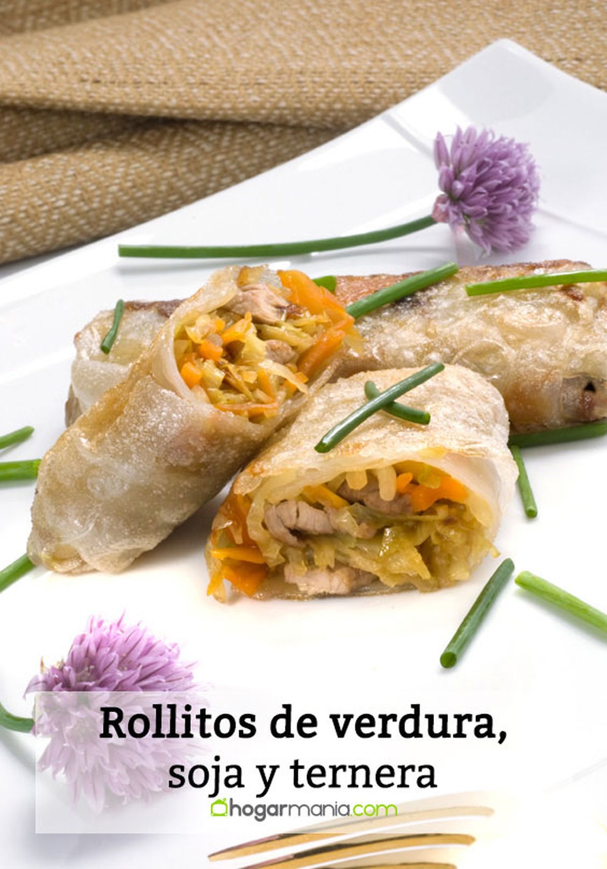 rollitos de verdura soja y ternera pin