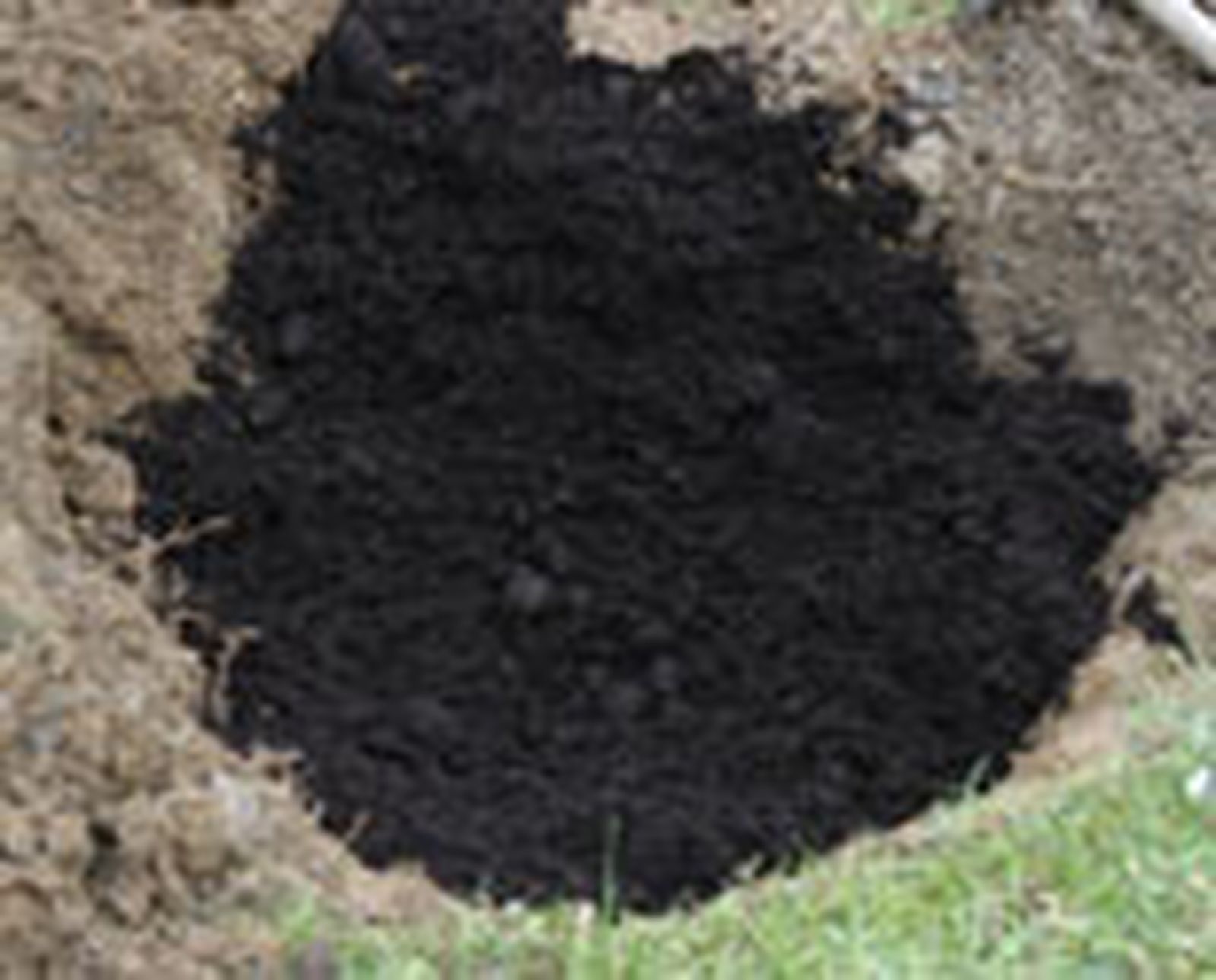 325 plant plam p04 325 plant plam p04