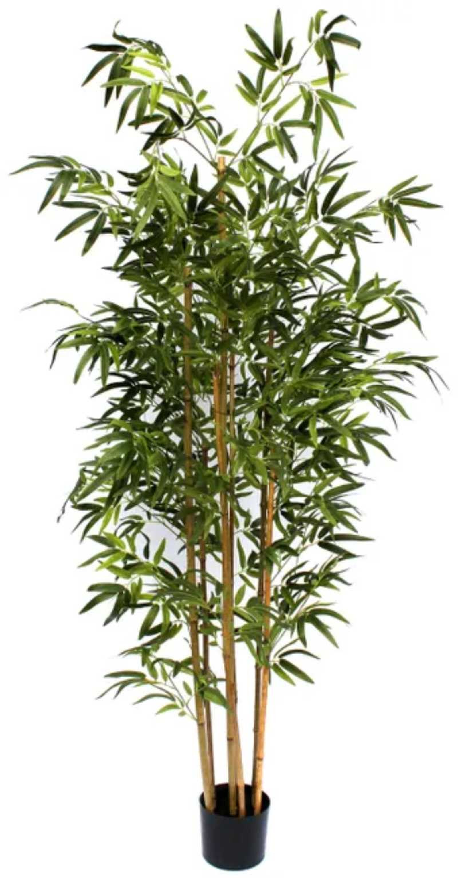 Planta artificial grande de árbol de bambú.