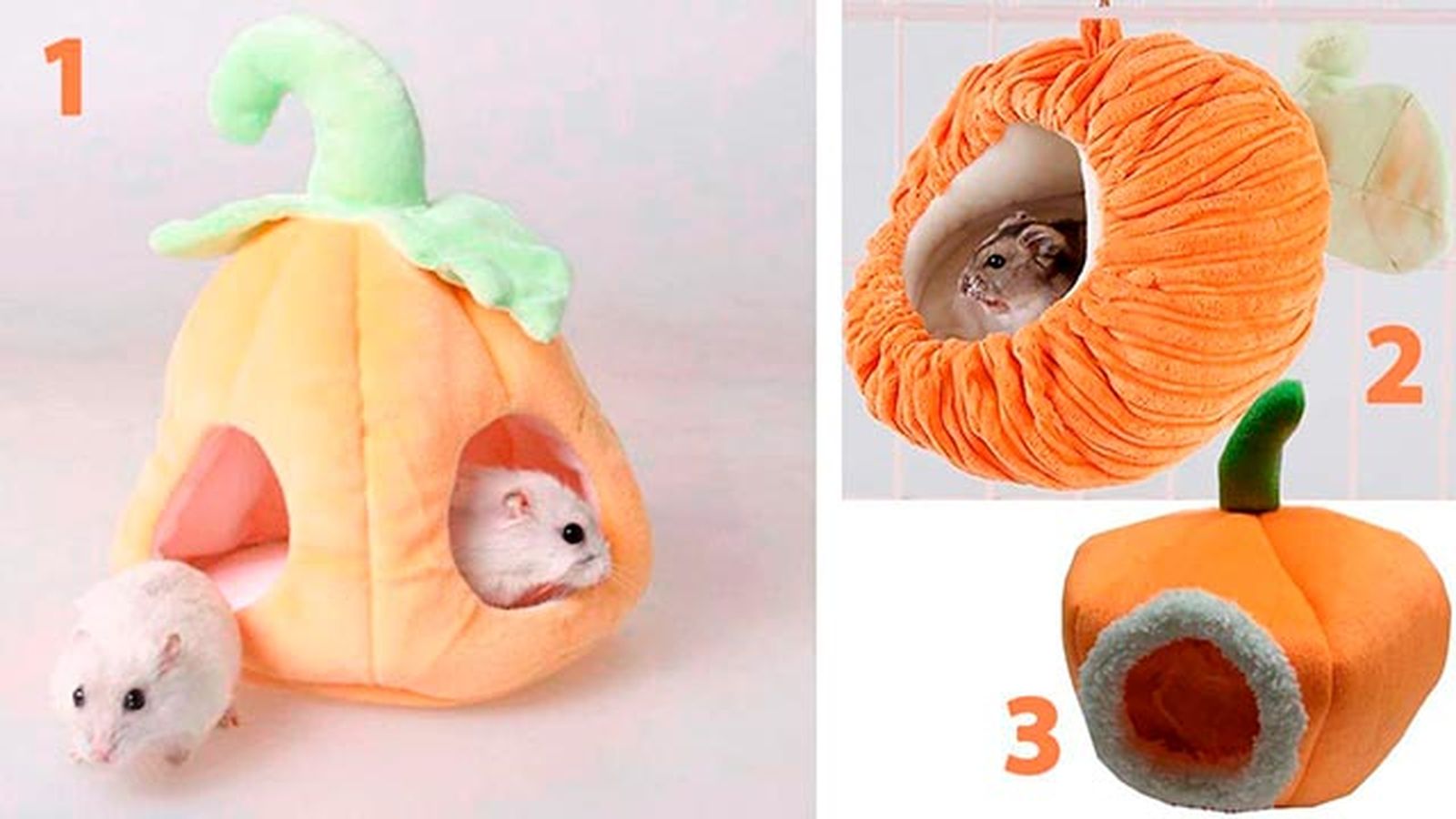 halloween3 cama calabaza hamster