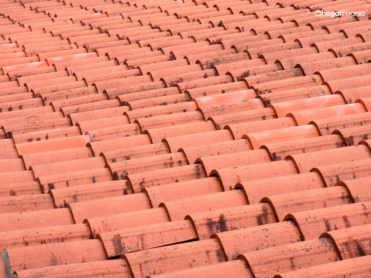 Elimina restos de adhesivo