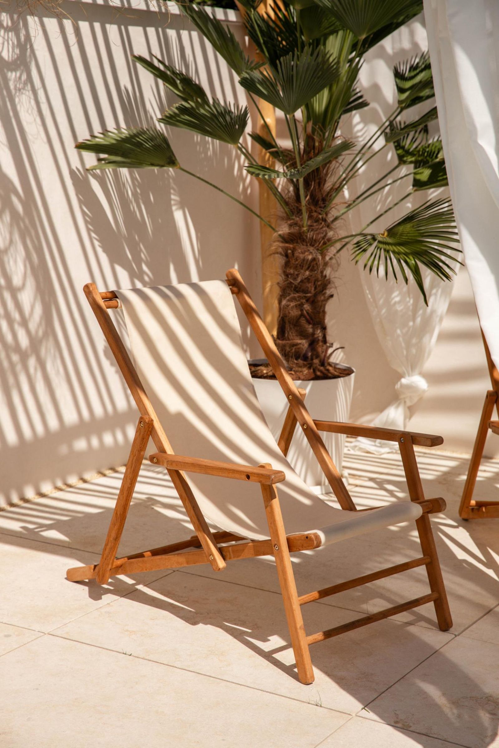 Terraza de una palmera para recibir sombra.