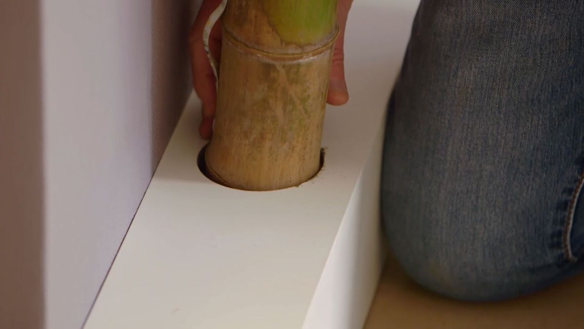 Cañas de bambú decorativas y luminosas paso 12