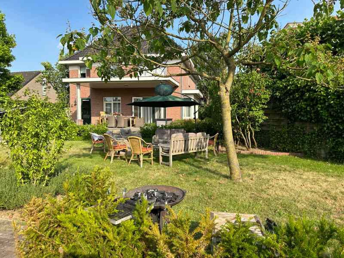 Analiza la inclinación del árbol.