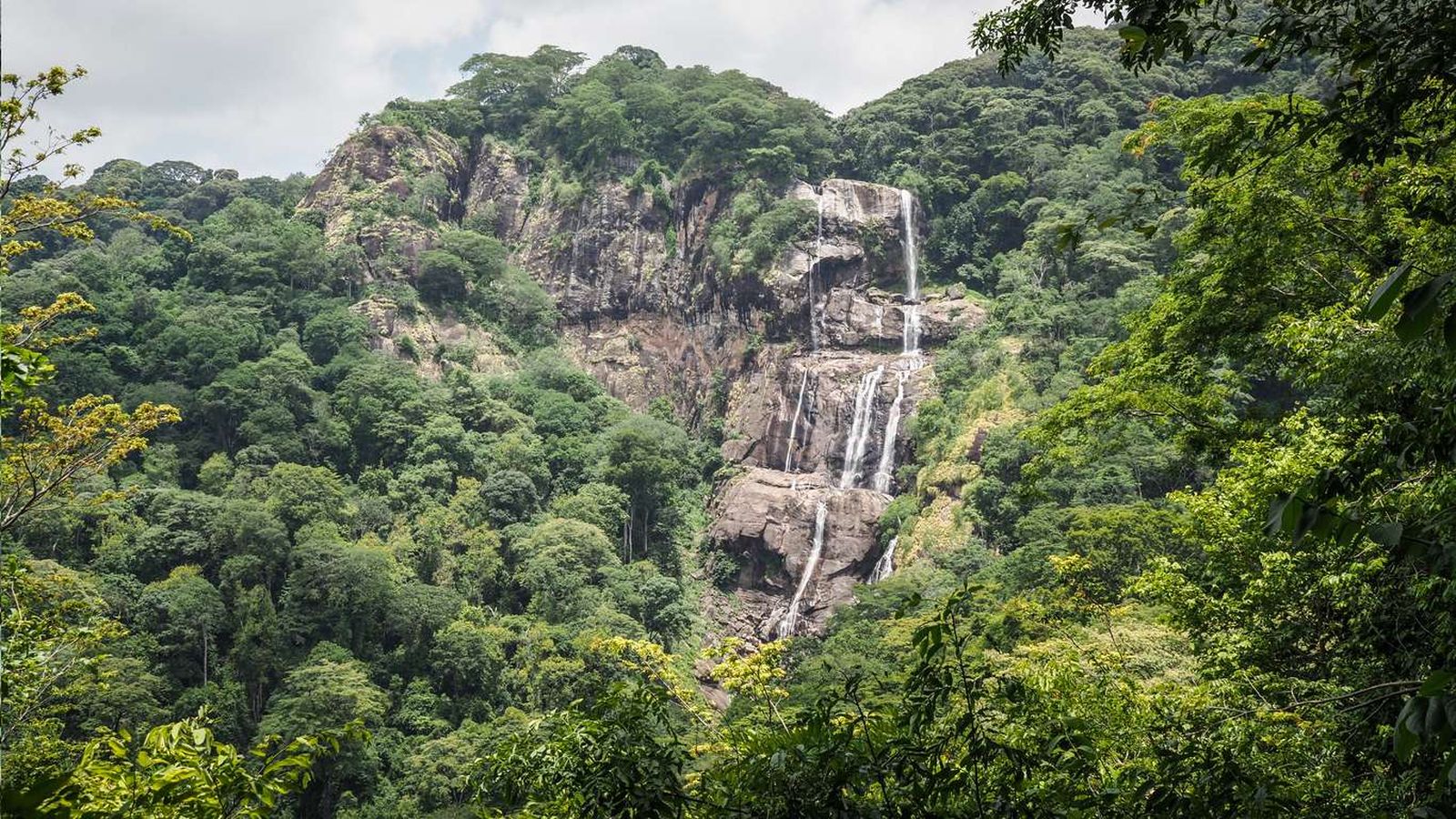 Parque Nacional de los Montes de Udzungwa
