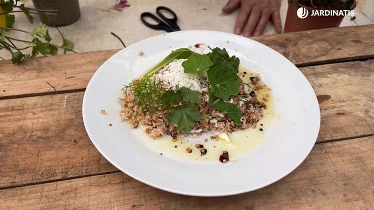 ensalada hojas comestibles inigo segurola jardinatis