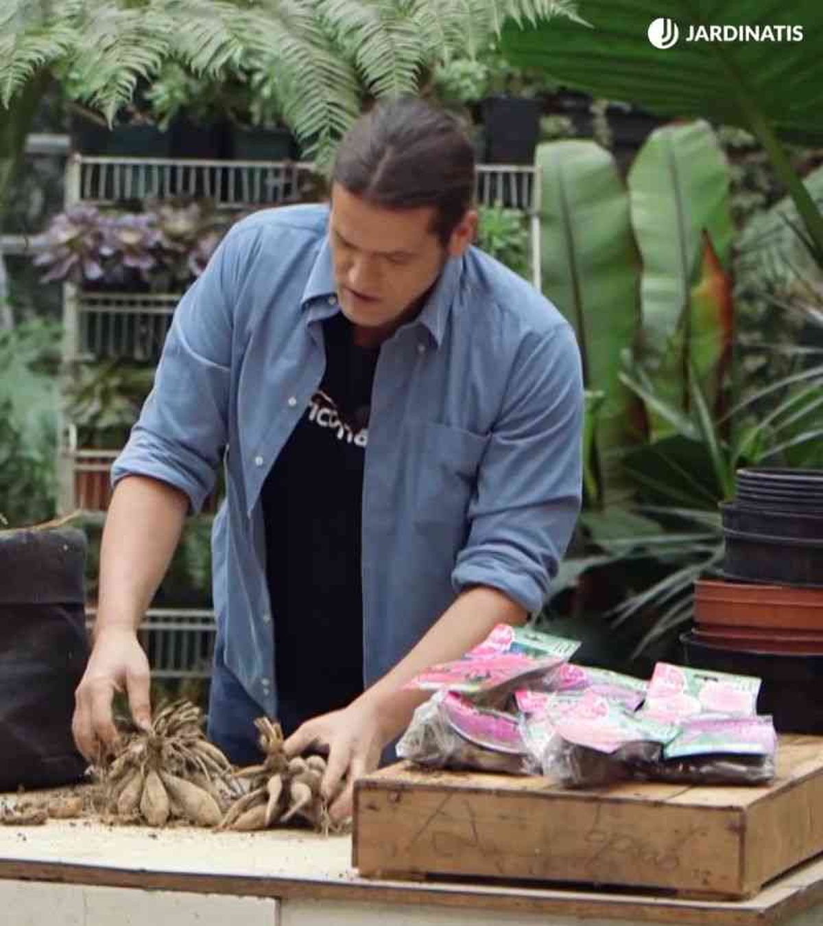 Hay una gran variedad de dalias entre las que escoger