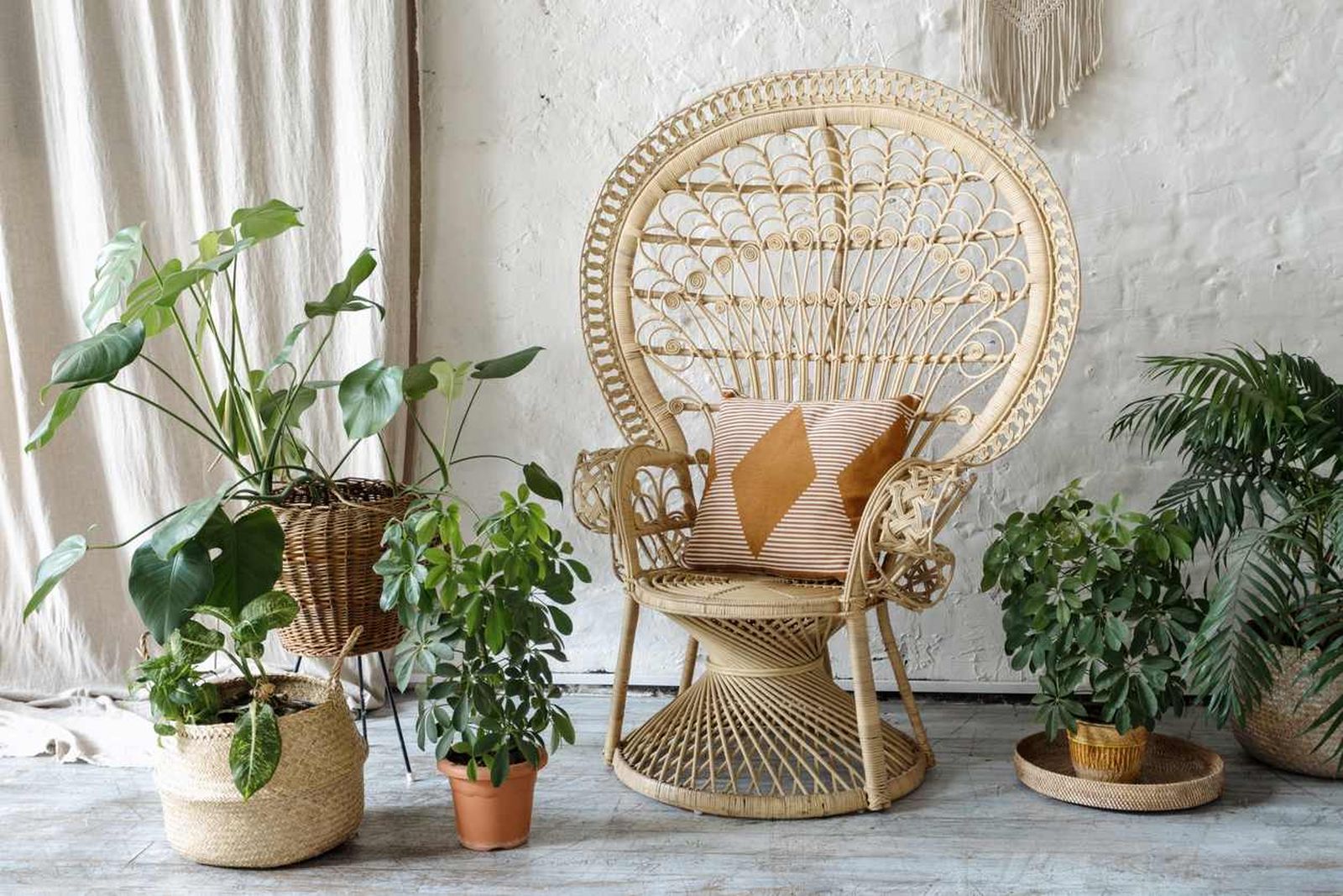 Plantas de hoja verde junto a silla