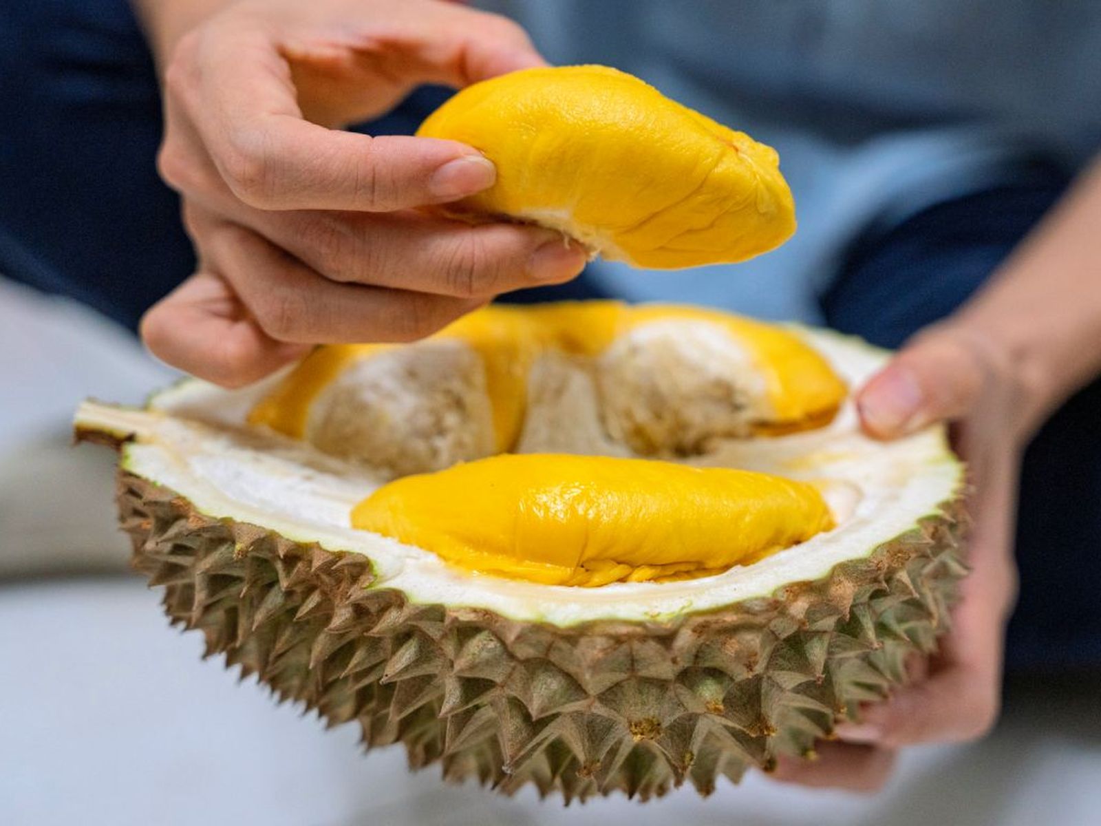 Durian Durian