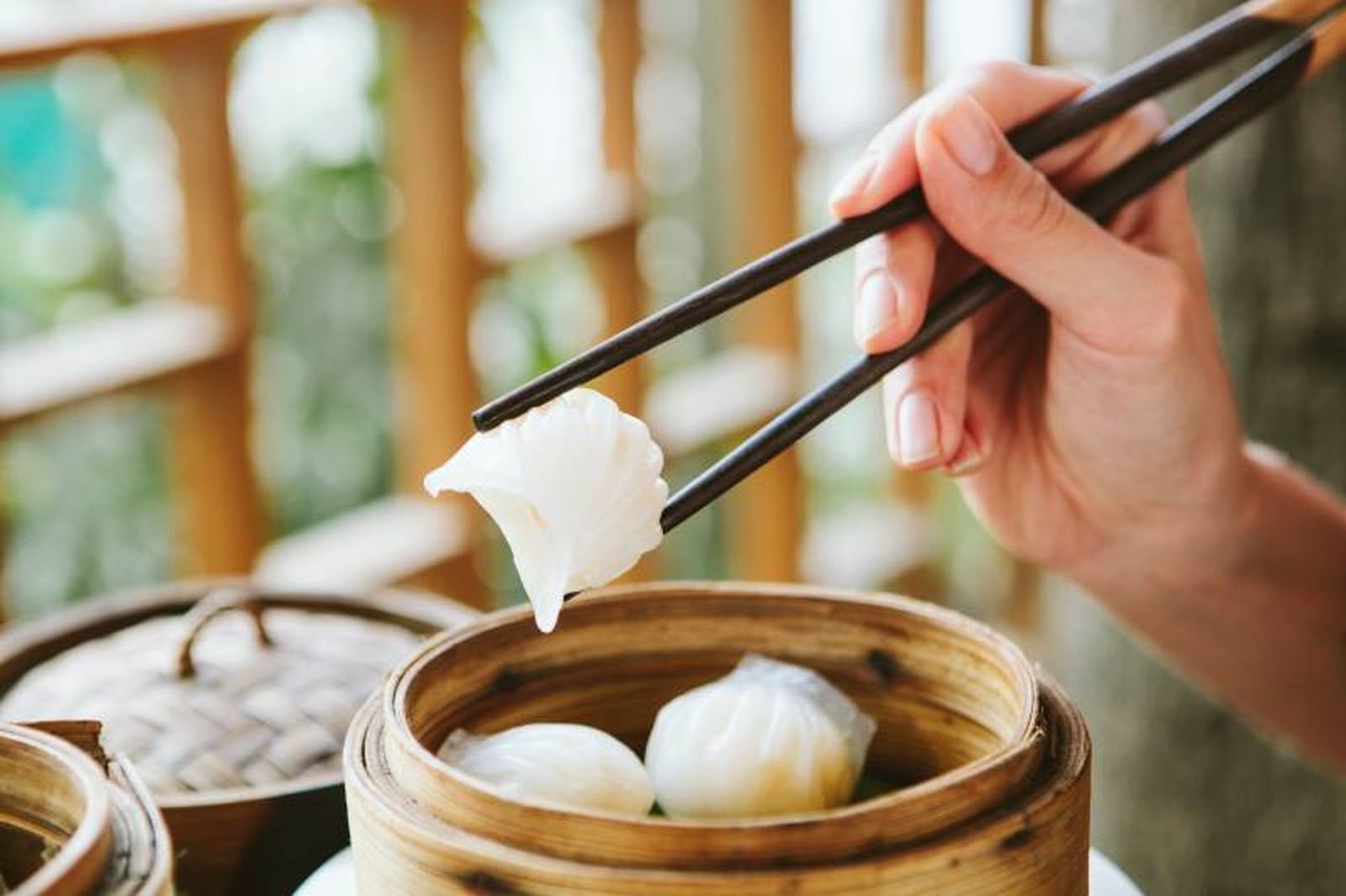 las gyozas o empanadillas japonesas se comen tradicionalmente con palillos las gyozas o empanadillas japonesas se comen tradicionalmente con palillos