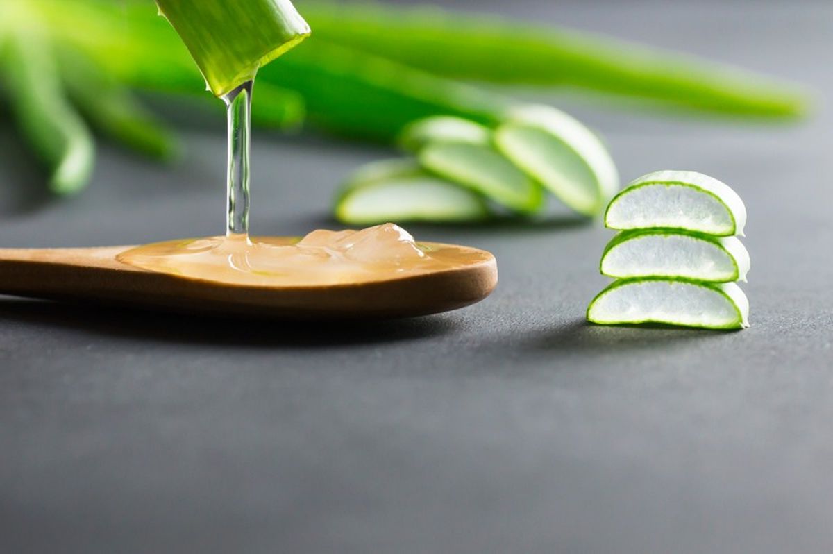 Gel natural de aloe vera