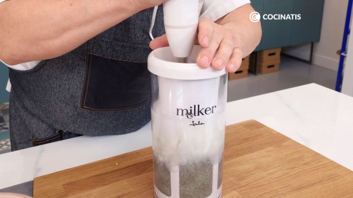 Triturar soja en el milker de jata para leche vegetal