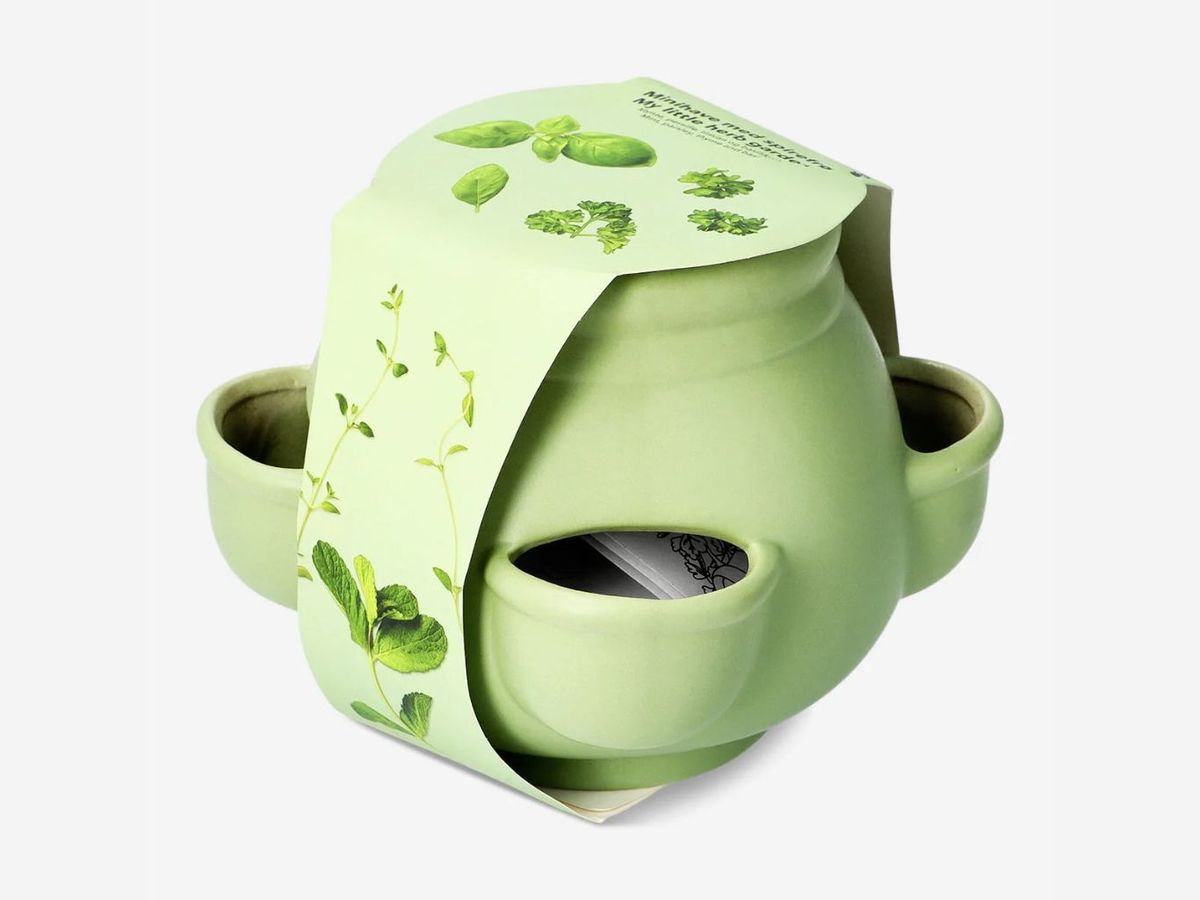 Set de cultivo para jardín de hierbas