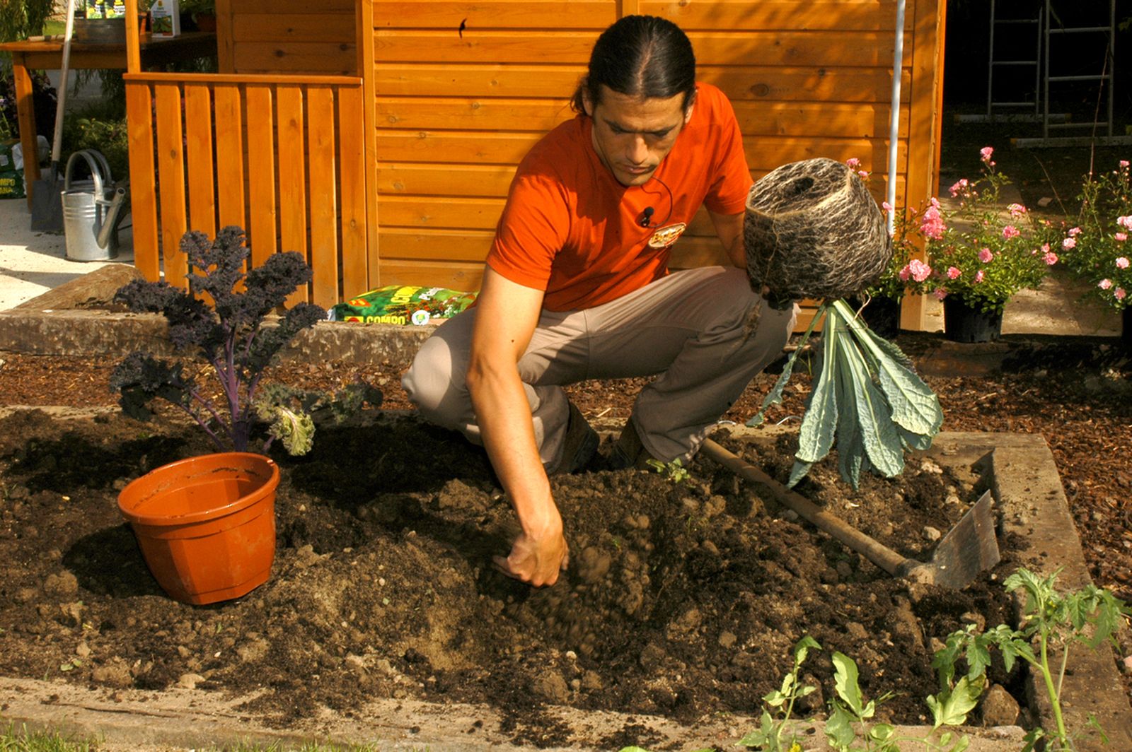 brico 0376 3 como hacer huerto plantas ornamentales paso 3 brico 0376 3 como hacer huerto plantas ornamentales paso 3